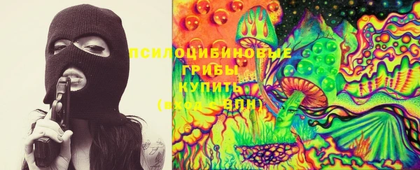 стафф Богородицк