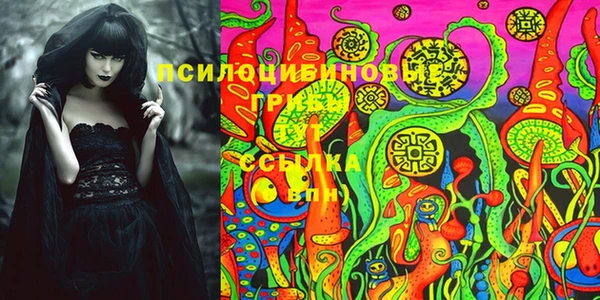стафф Богородицк
