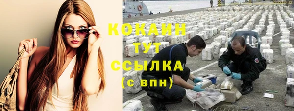 стафф Богородицк